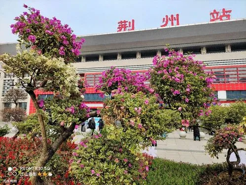 武漢到荊州物流專線-武漢至荊州貨運(yùn)公司
